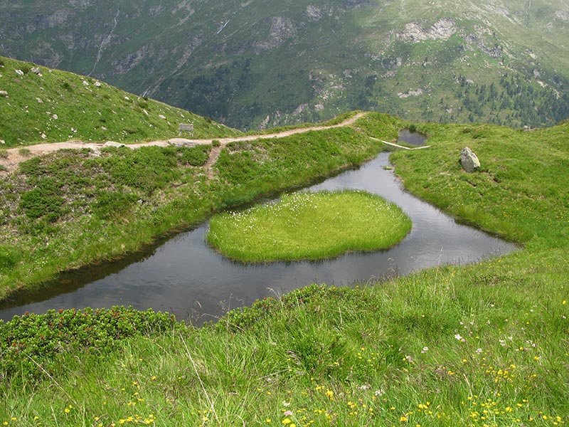 wildenkogel